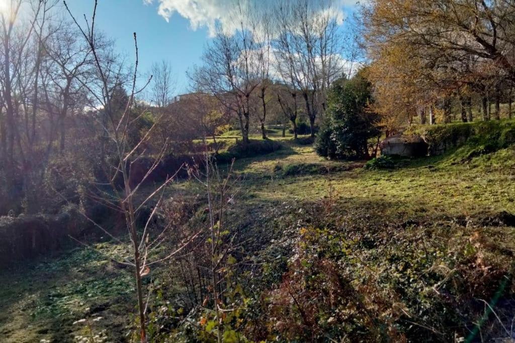 Confort, Fun And Leisure In Douro Rural Space Sande  Екстер'єр фото