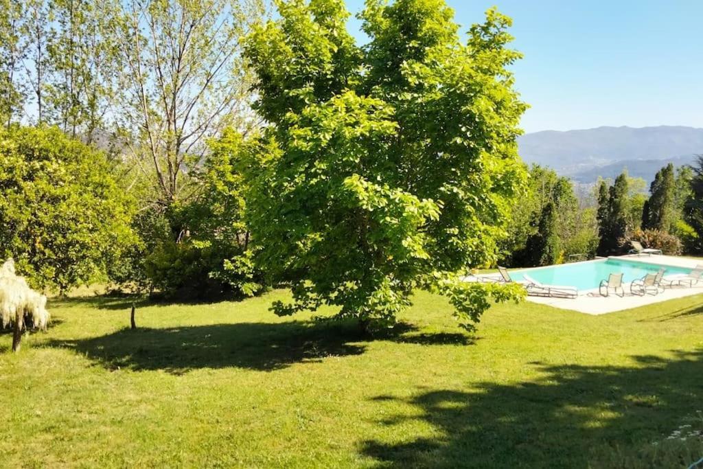 Confort, Fun And Leisure In Douro Rural Space Sande  Екстер'єр фото