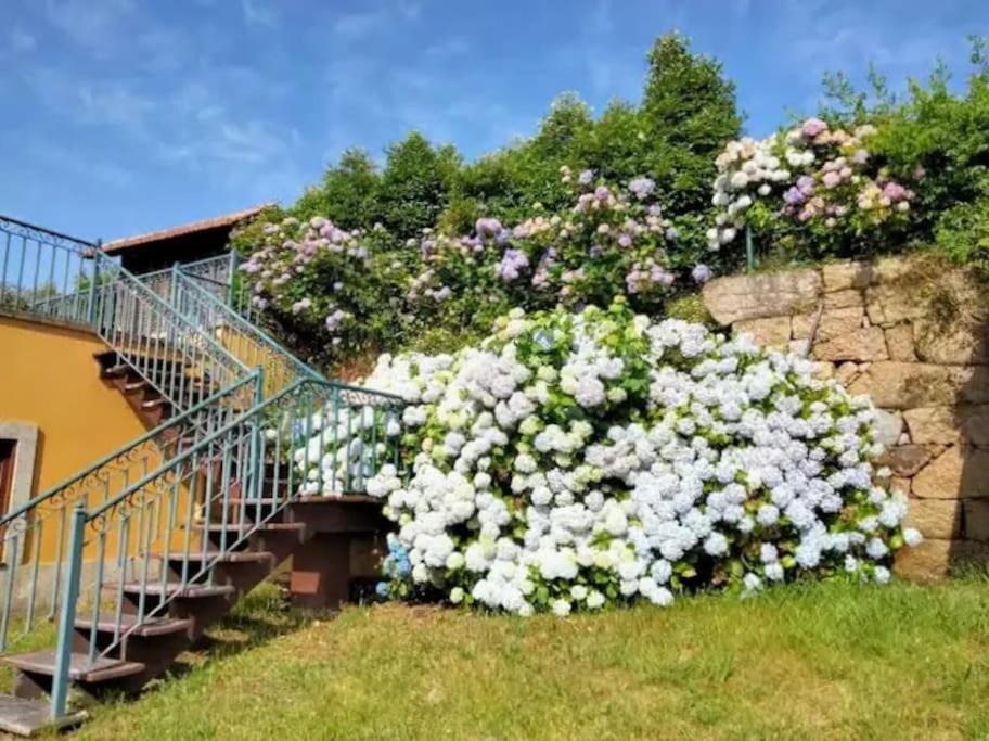 Confort, Fun And Leisure In Douro Rural Space Sande  Екстер'єр фото