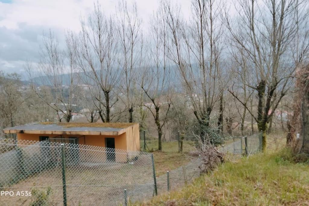 Confort, Fun And Leisure In Douro Rural Space Sande  Екстер'єр фото